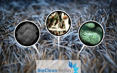 Στεγνός Βιολογικός Καθαρισμός Χαλιού στον χώρο σας από την BioCleanHellas!